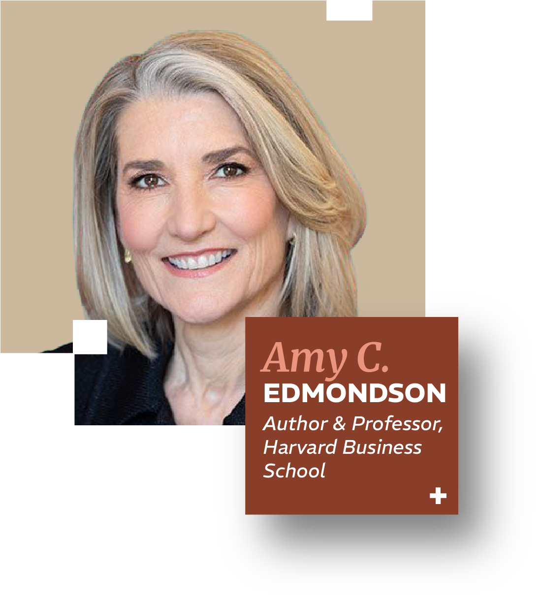 Amy C. Edmondson